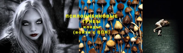 прущий лед Алексеевка