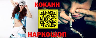крисы Моздок
