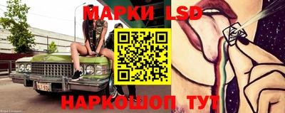 крисы Моздок