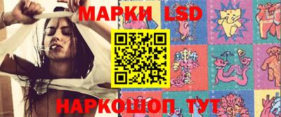 крисы Моздок