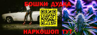 крисы Моздок