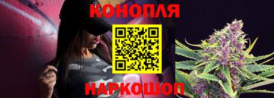 крисы Моздок