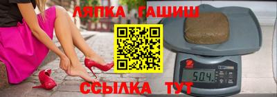 крисы Моздок