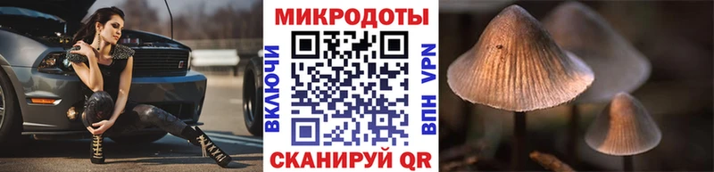 MEGA ССЫЛКА shop наркотические препараты Галлюциногенные грибы Magic Shrooms Иркутск