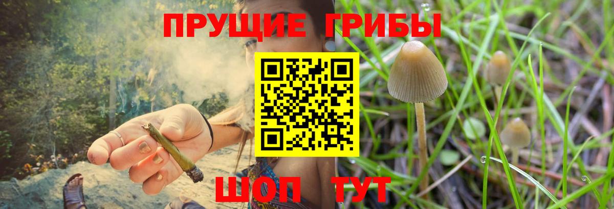 Иркутск  купить   Галлюциногенные грибы мицелий  Вход с VPN  Псилоцибиновые грибы мицелий 